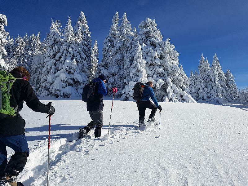 Le Pre Du Lac Saint-Jorioz Kültér fotó